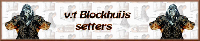 blockhuijssetters