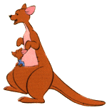 kangeroe
